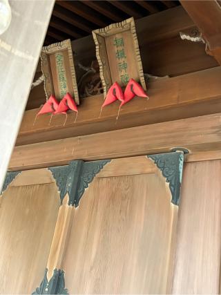 金刀毘羅神社•棚機神社の参拝記録(こーちんさん)