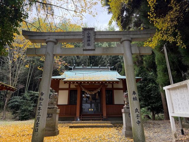 小池熊野坐神社の写真1