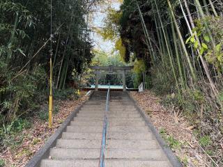 小池熊野坐神社の参拝記録(ドラゴンさん)