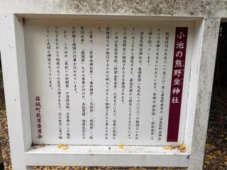 小池熊野坐神社の参拝記録(ドラゴンさん)