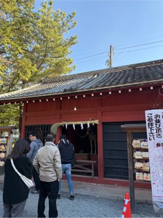 神厩舎　叶え馬（静岡浅間神社境内）の参拝記録(⛩️🎠🐢まめ🐢🎠⛩️さん)