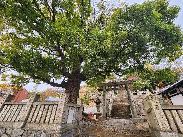 白鬚神社の参拝記録1