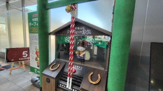 ターフィー神社の参拝記録1