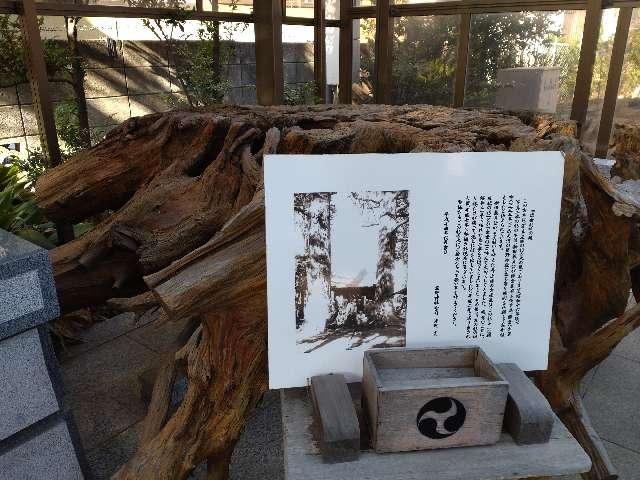 出世杉の根（天沼熊野神社）の写真1