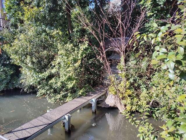 千葉県柏市東山２丁目１ 東山イボ弁天の写真2