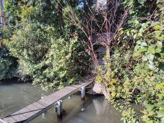 東山イボ弁天の参拝記録(ロビンさん)