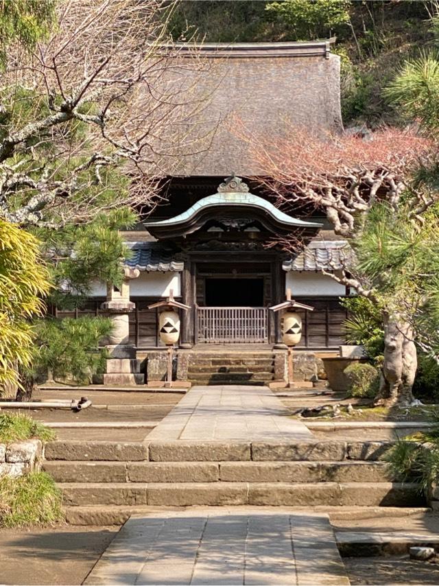 円覚寺 舎利殿の参拝記録1
