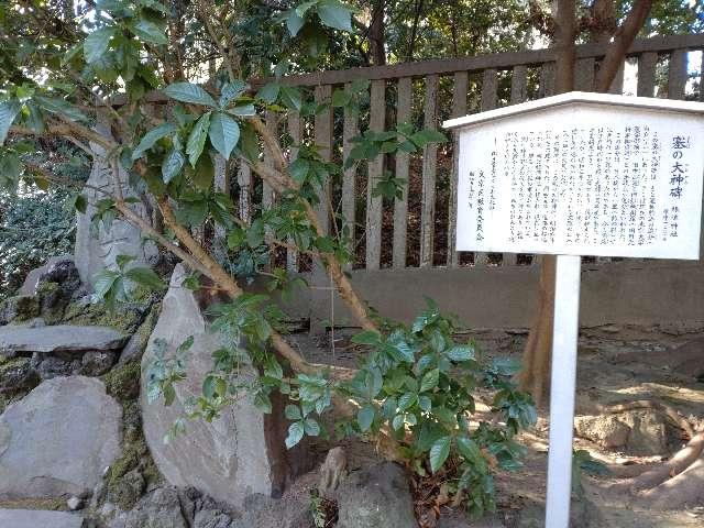 塞の大神碑（根津神社境内碑）の写真1