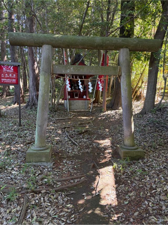 御嶽神社（豊鹿嶋神社境内）の参拝記録1