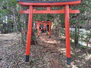 紅葉稲荷神社（豊鹿嶋神社境内）の参拝記録(ロビンさん)