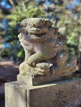 星宮神社の参拝記録(たけちゃ～ん⚾さん)