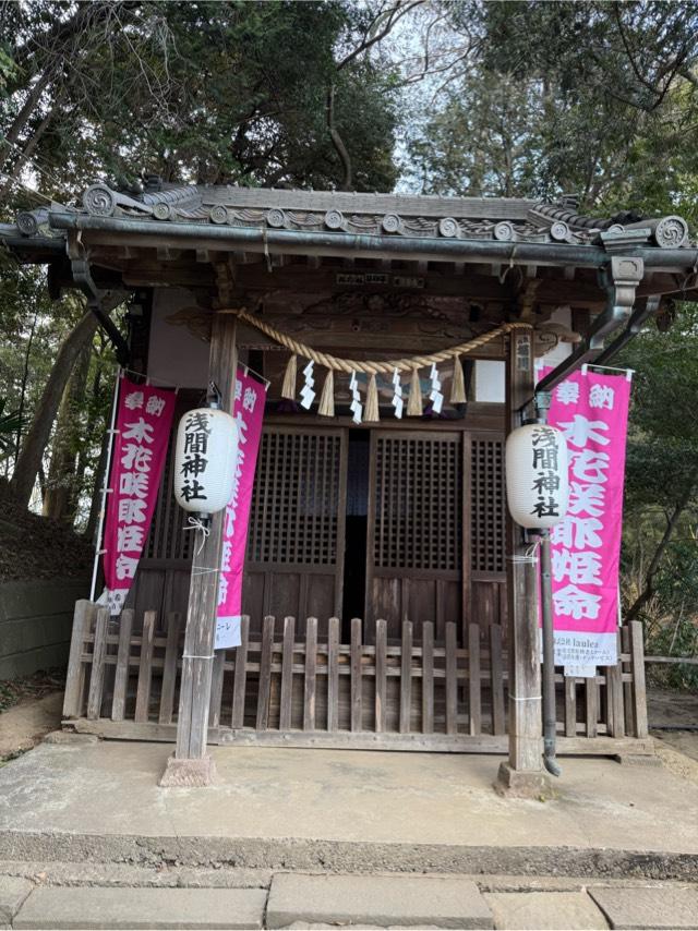 浅間神社(前玉神社境内内)の写真1