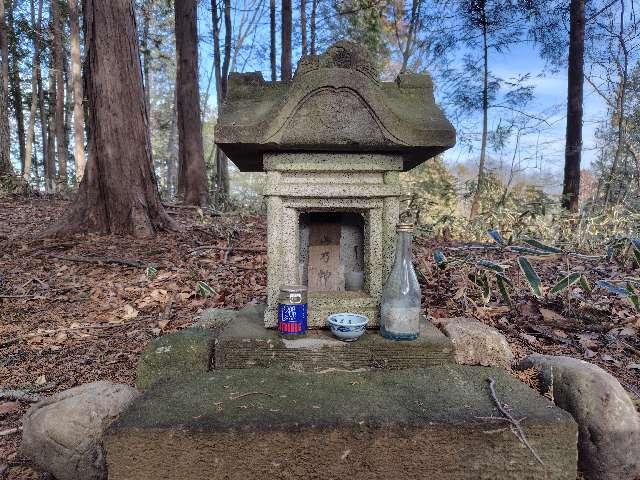 東京都青梅市塩船１１０-ナ 山ノ神の写真2