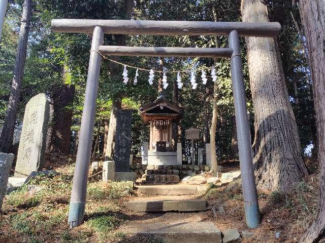 野上大國神社（春日神社境内）の写真1