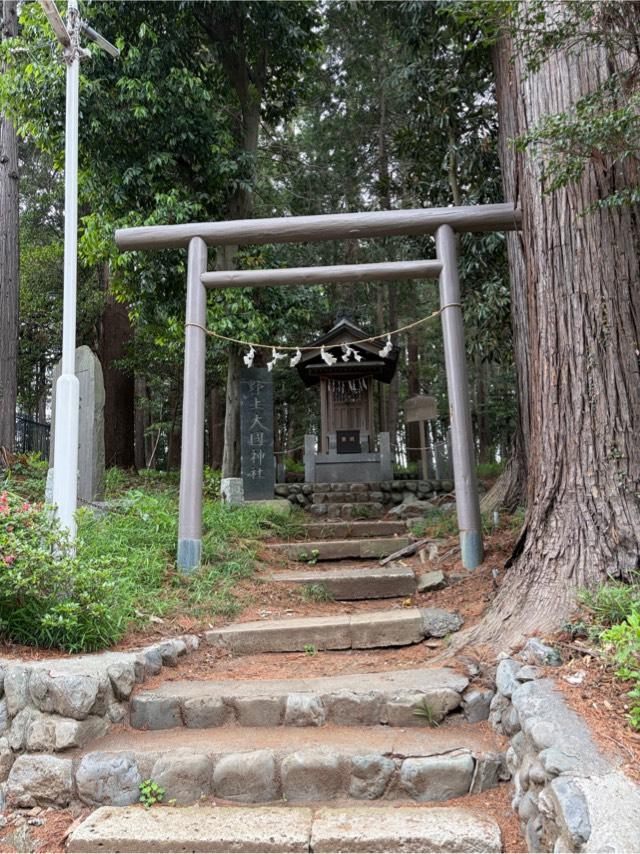 野上大國神社（春日神社境内）の参拝記録1
