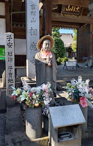 相応寺の参拝記録(狛猫さん)