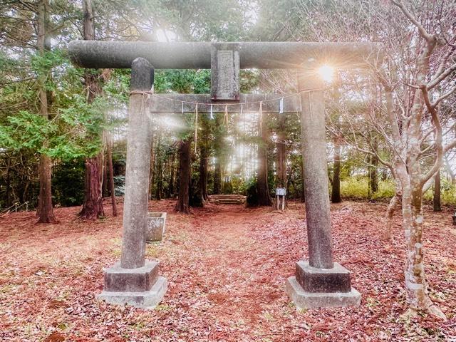阿夫利神社の写真1