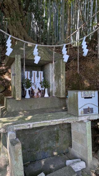 豊日別神社の参拝記録(こまいぬおさん)