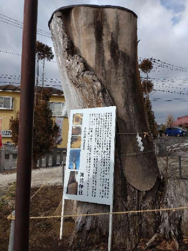 ケヤキの御神木（相原諏訪神社）の写真1