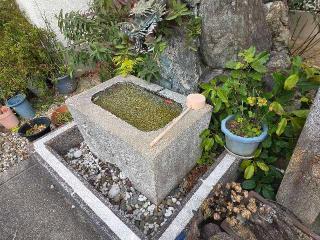 宗忠神社八幡浜分社の参拝記録(飛成さん)