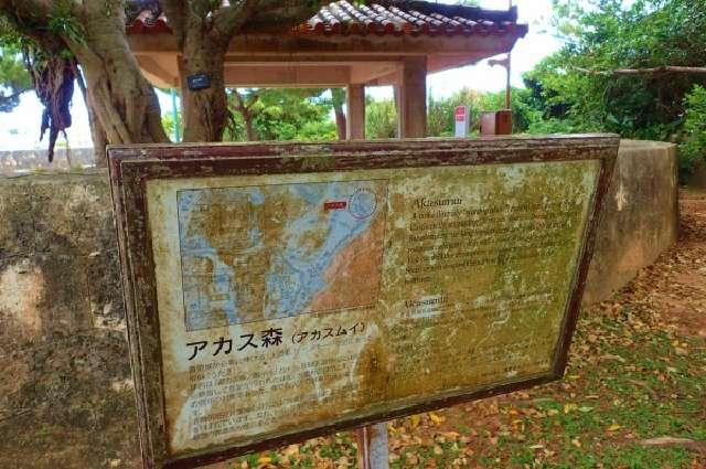 天水龍王御神の写真1