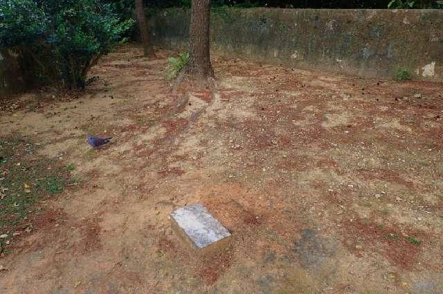 沖縄県那覇市首里金城町３丁目1−２ 天水龍王御神の写真2