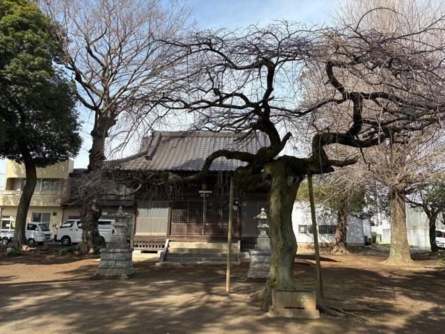 八坂神社の写真1