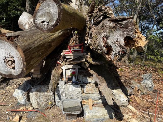 大杉明神の写真1