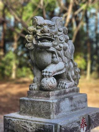 星宮神社の参拝記録(たけちゃ～ん⚾さん)