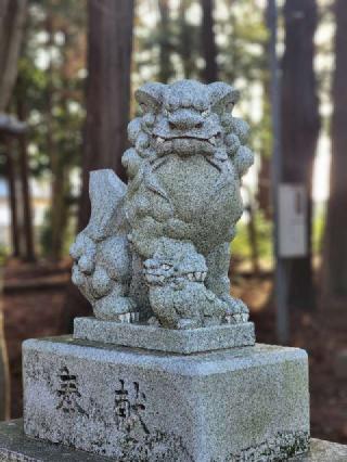 星宮神社の参拝記録(たけちゃ～ん⚾さん)