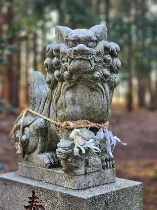 山田神社の参拝記録(たけちゃ～ん⚾さん)