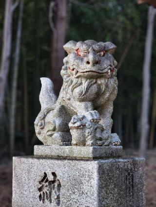 星宮神社の参拝記録(たけちゃ～ん⚾さん)