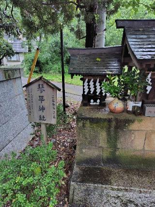 八坂神社・琴平神社の参拝記録(zx14rさん)