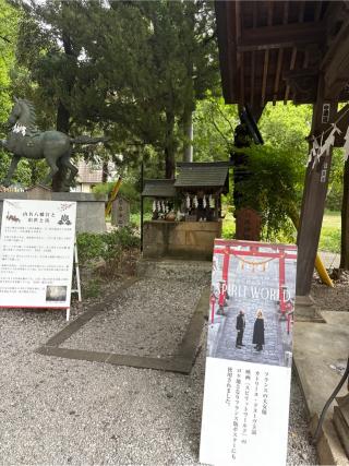 八坂神社・琴平神社の参拝記録(⛩️🎠🐢まめ🐢🎠⛩️さん)