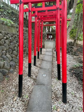 妻戀稲荷神社の参拝記録(⛩️🎠🐢まめ🐢🎠⛩️さん)