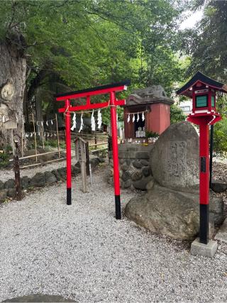 妻戀稲荷神社の参拝記録(⛩️🎠🐢まめ🐢🎠⛩️さん)