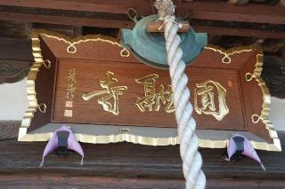 無量山円融寺の参拝記録(thonglor17さん)