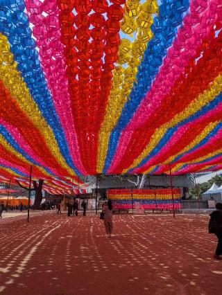 曹渓寺の参拝記録(はくすみさん)