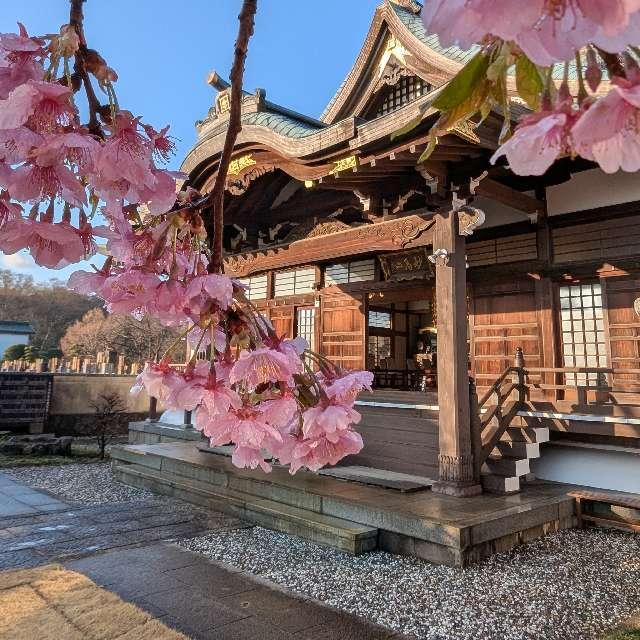 法栄寺の写真1