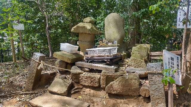 願い叶う石（金井八幡神社）の参拝記録1