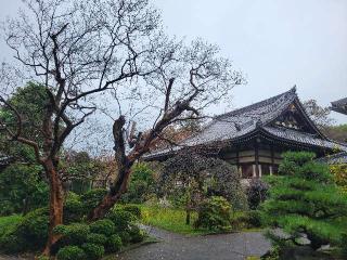 高貴山 福聚院の参拝記録(まっきーさん)