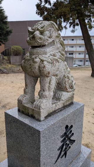 照日神社の参拝記録(こまいぬおさん)
