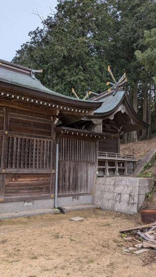 照日神社の参拝記録(こまいぬおさん)