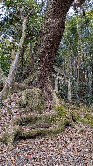 山嵜宮の参拝記録(こまいぬおさん)