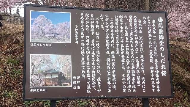 長野県伊那市高遠町勝間690 勝間薬師堂の写真3