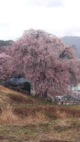 勝間薬師堂の参拝記録(ステイさん)