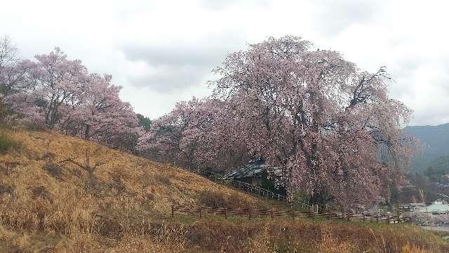 長野県伊那市高遠町勝間690 勝間薬師堂の写真4