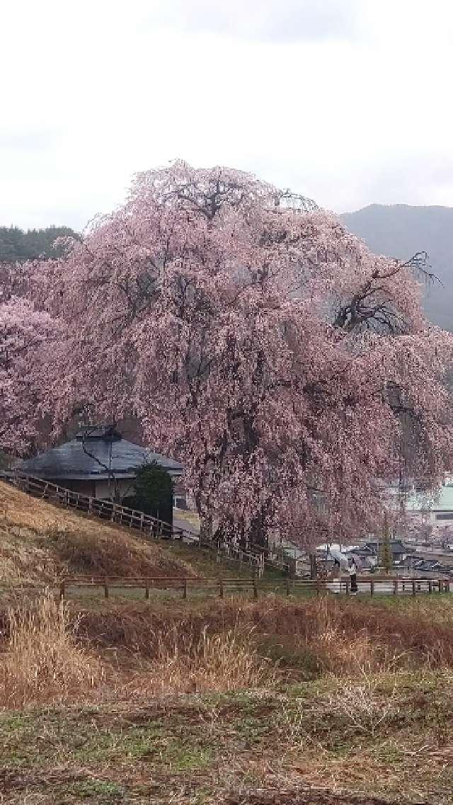 長野県伊那市高遠町勝間690 勝間薬師堂の写真5