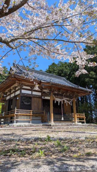 宮原若宮八幡神社の参拝記録(こまいぬおさん)