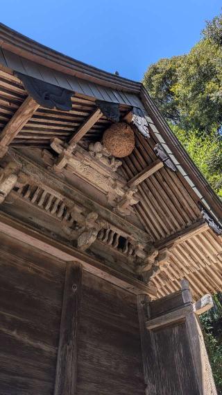 若宮八幡神社の参拝記録(こまいぬおさん)